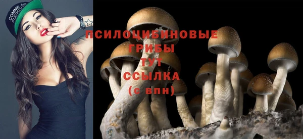 гашишное масло Алзамай
