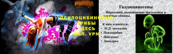spice Алексеевка