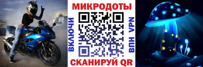 Псилоцибиновые грибы Magic Shrooms  гидра онион  Бирюсинск  как найти закладки 